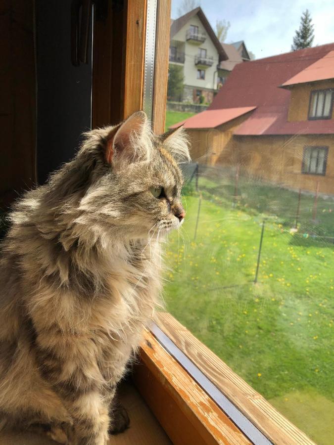 Bukowy Gosciniec Appartamento Poronin Esterno foto